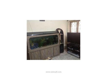 3 BHK Residential Apartment-flats for Sale