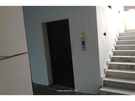 Shop-Mulgi for Rent