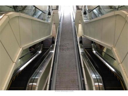 Shop-Mulgi for Rent