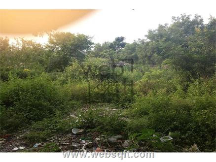 Residential Land for Sale in Telangana