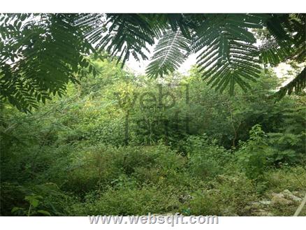 Hyderabad Residential Land for Sale
