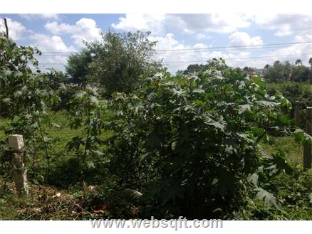 Residential Land for Sale in Hyderabad
