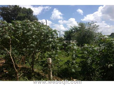 Hyderabad Residential Land for Sale