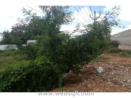 Hyderabad Residential Land for Sale