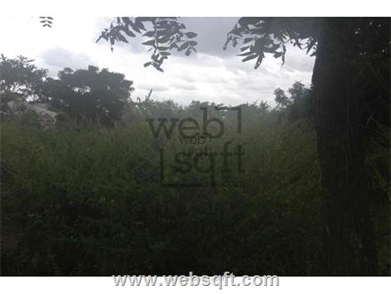 Residential Land for Sale in Telangana