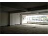 Commercial Showroom for Rent