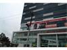 Shop-Mulgi for Rent