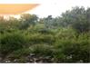 Madhapur Residential Land for Sale