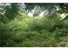 Residential Land for Sale in Telangana