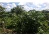 Hyderabad Residential Land for Sale