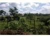 Kompally Residential Land for Sale