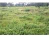 Residential Land for Sale