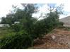 Residential Land for Sale in Telangana