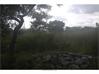 Residential Land for Sale in Telangana