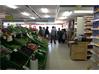 Commercial Retail showroom shop for Rent