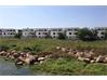 Yadagirigutta Residential Land for Sale
