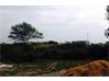 Residential Land for Sale in Nalgonda