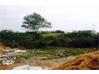 Residential Land for Sale