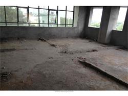 Commercial Office Space for Rent in Gandhinagar