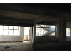 Commercial Office Space for Rent in Srinagar Colony