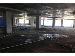 Commercial building for Rent in AS Rao Nagar
