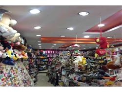Commercial Shop-Mulgi for Sale in Sainikpuri