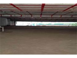 Commercial Retail showroom shop for Rent in Paradise