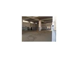 Commercial Warehouse for Rent in Hafeezpet