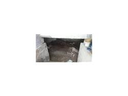 Commercial Shop-Mulgi for Rent in Madhapur
