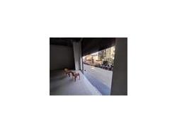 Commercial Retail showroom shop for Rent in Ameerpet