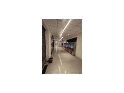 Commercial Retail showroom shop for Rent in Kokapet